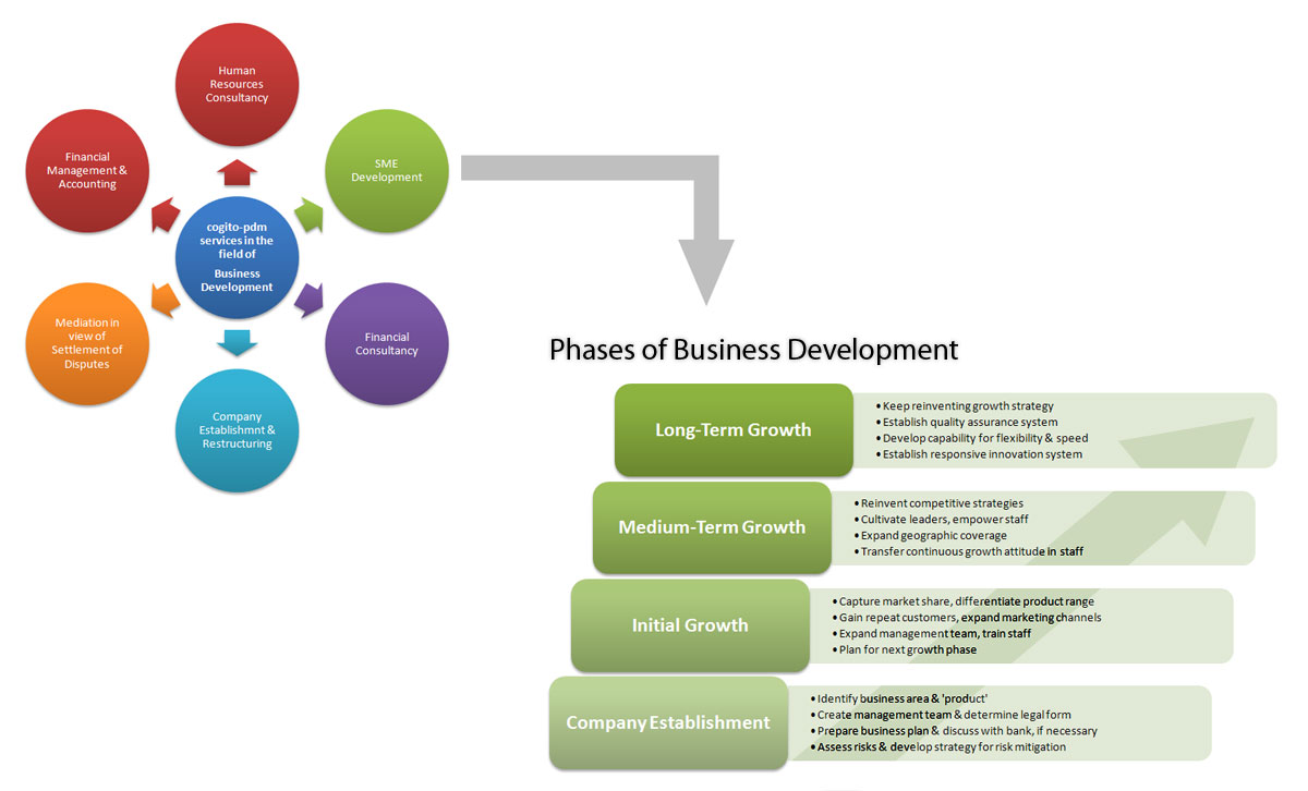 Ascent Global Consult Business Development